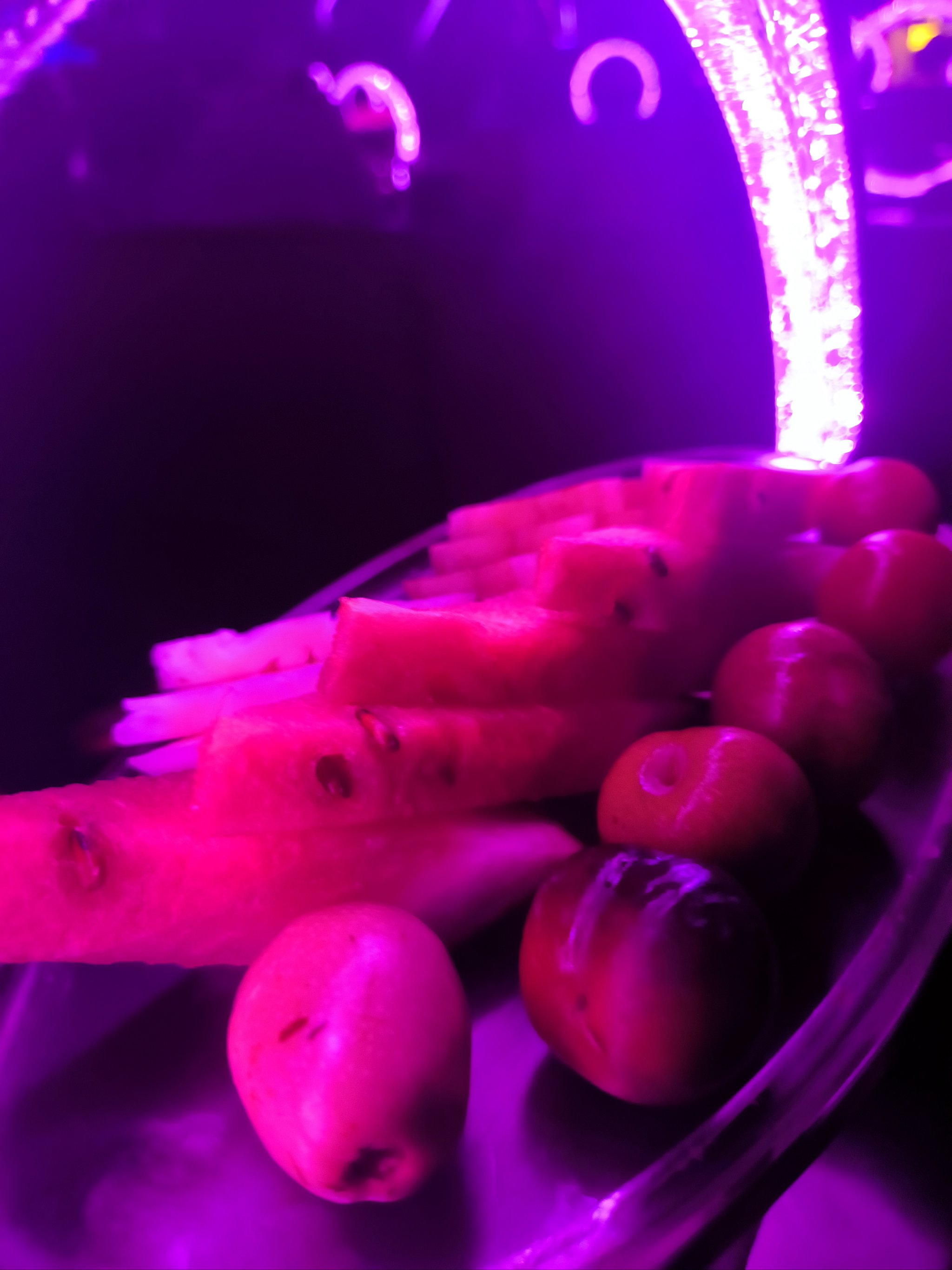 漳州商务ktv推荐商务ktv哪里有选择-长泰县ktv预订